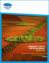 Community, Safety and Environment Report 2006